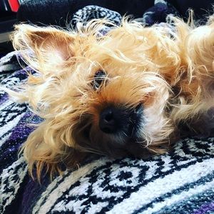 Meet your Posher, Thomas